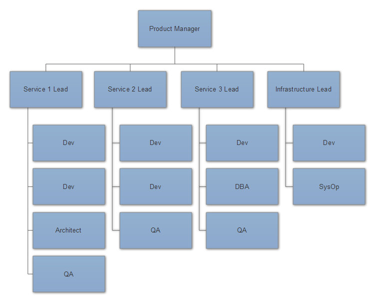 An organization partitioned along its microservice boundaries