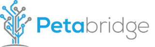 Petabridge logo