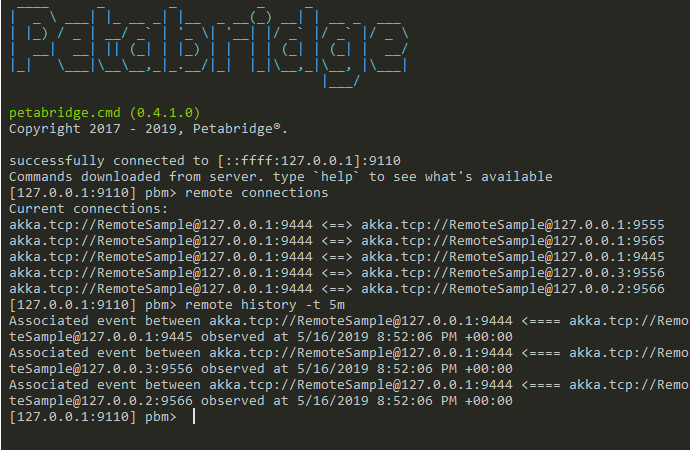 remote command example