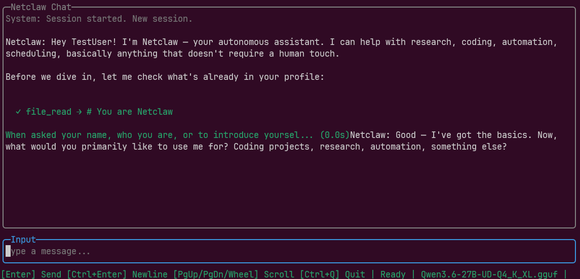 A live netclaw chat session, with a local Qwen3 model in the status bar